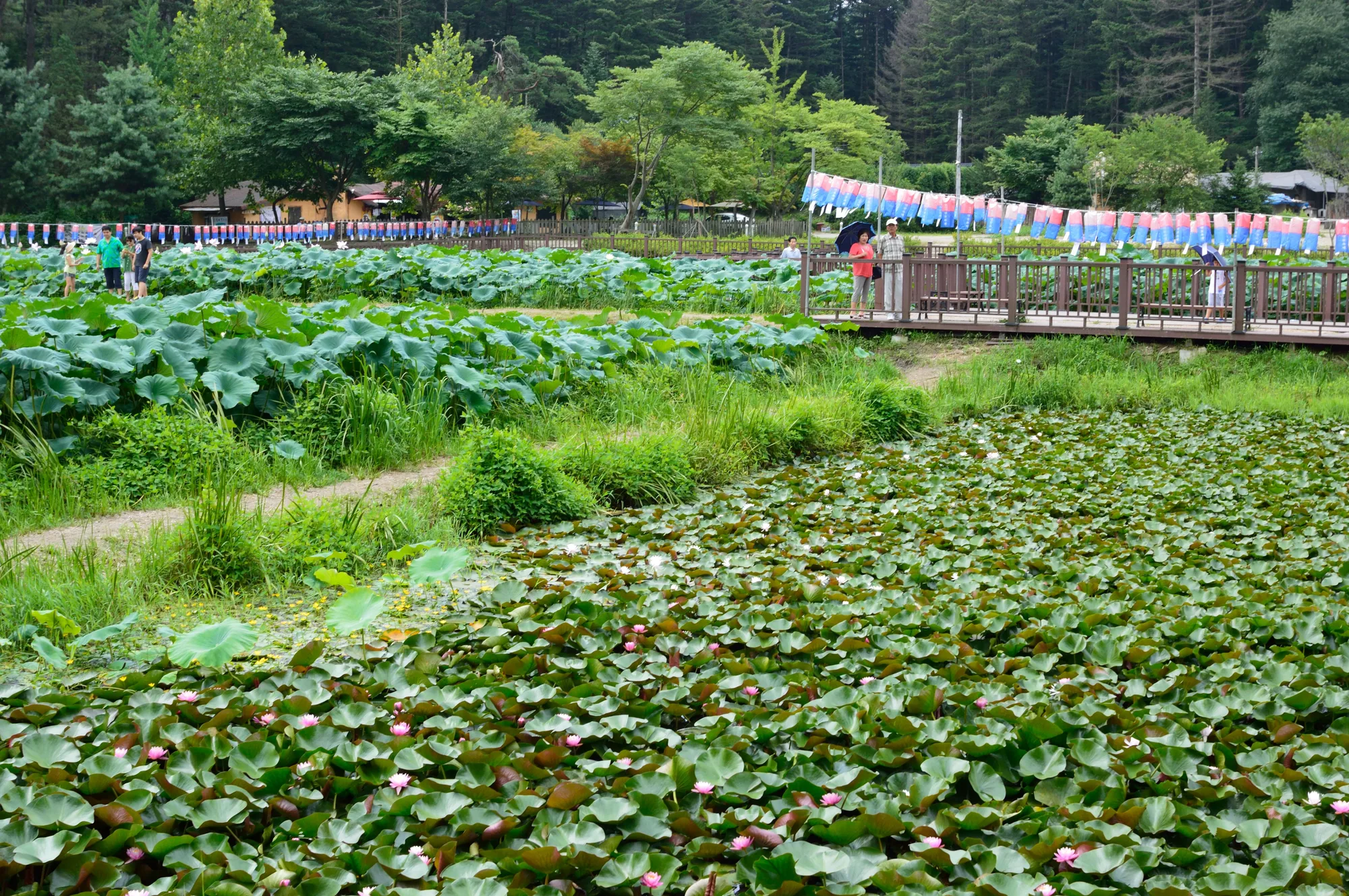 오산 살던 여름, 정처 없이 걸은 서울 사진 1