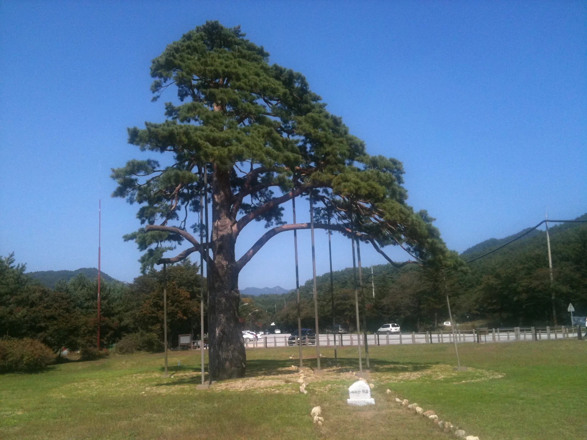 속리산 문장대, 혼자 걸은 능선 사진 1