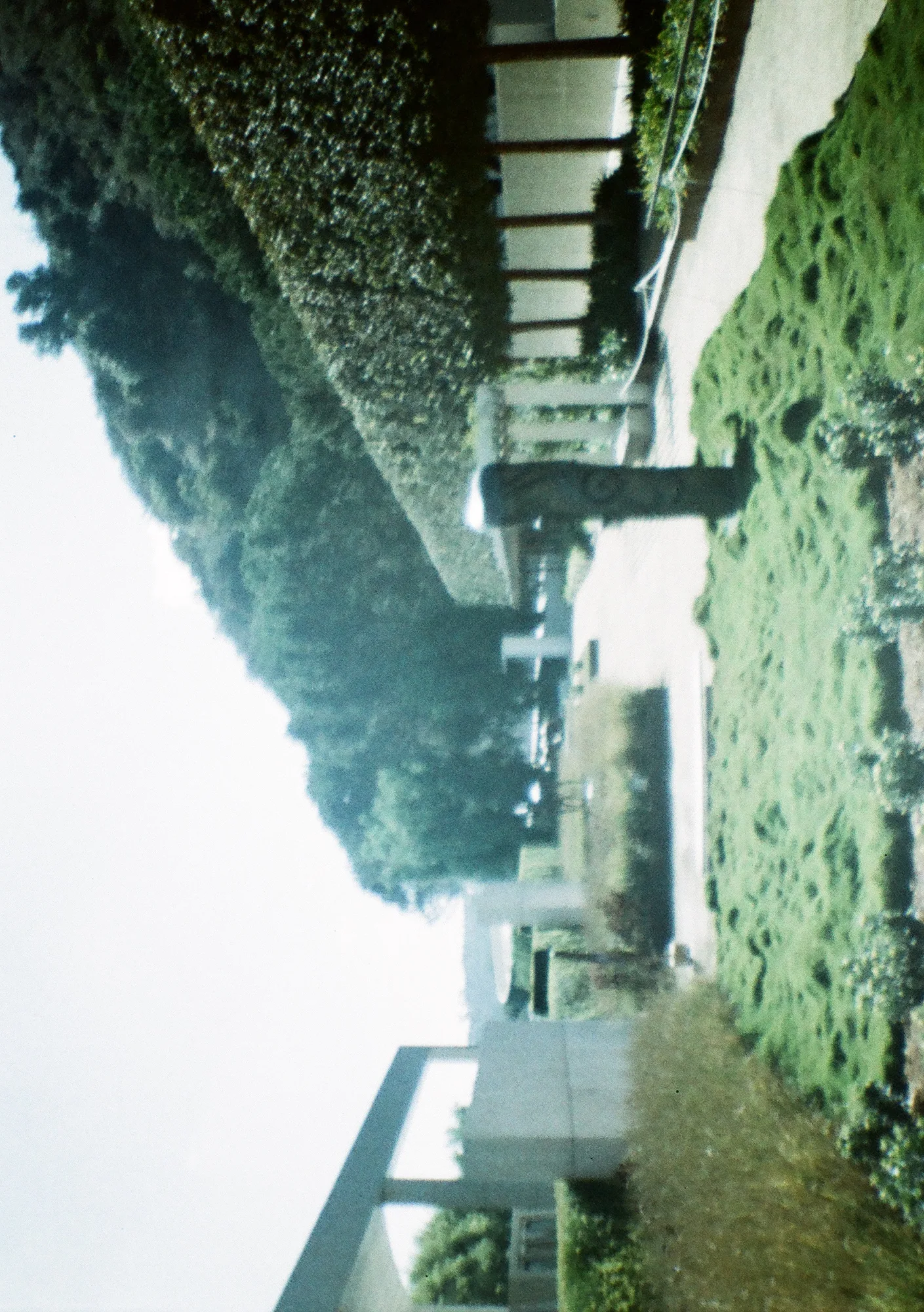 게티센터 정원 산책로