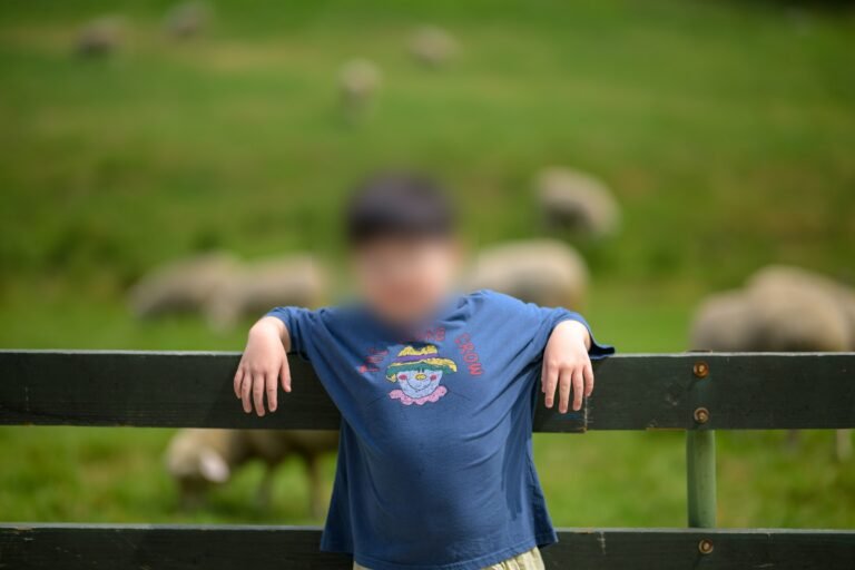 강릉 이틀, 경포호 밤과 대관령 양떼목장 사진 8