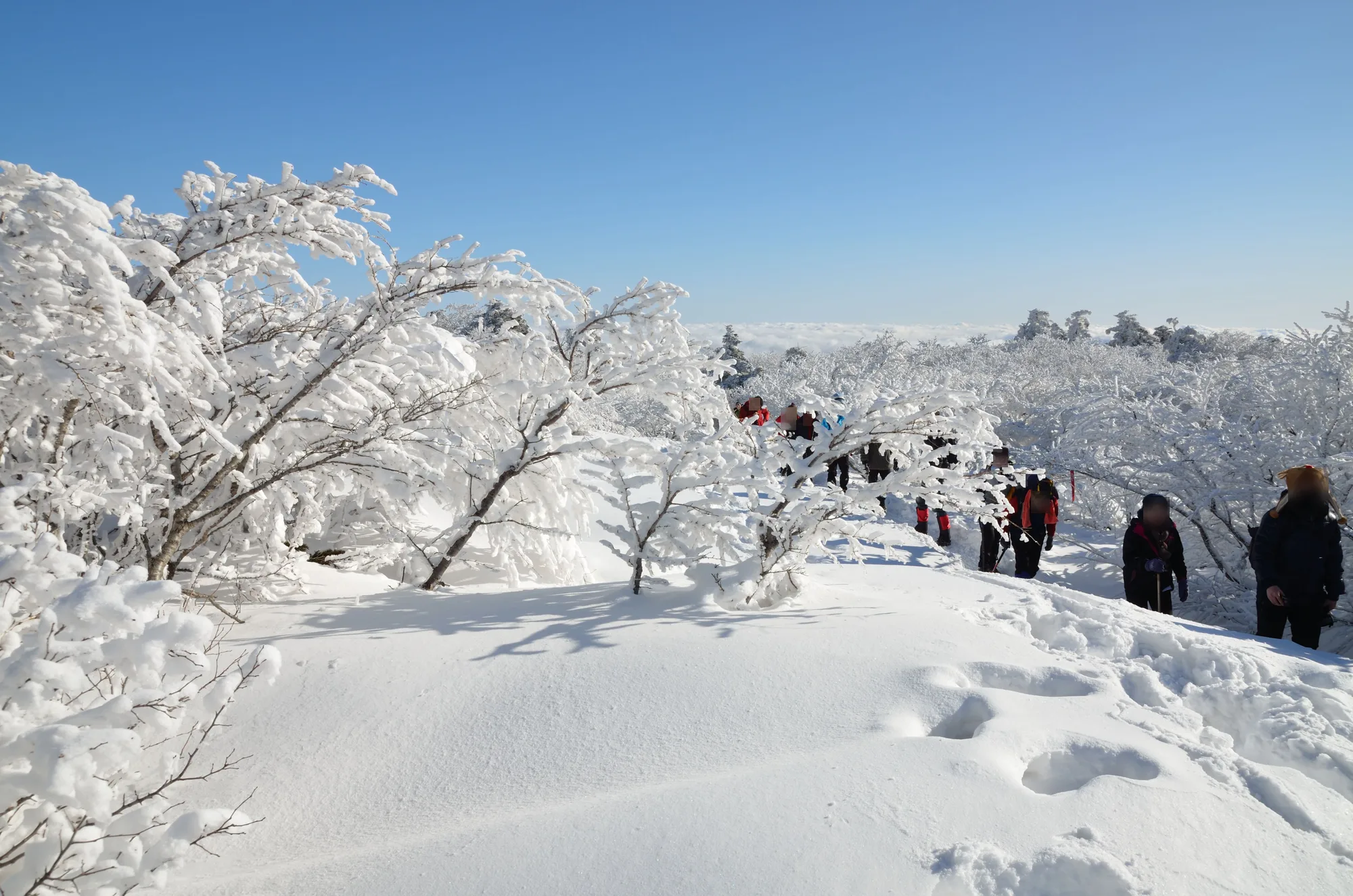 형님들과, 눈 쌓인 한라산 사진 8