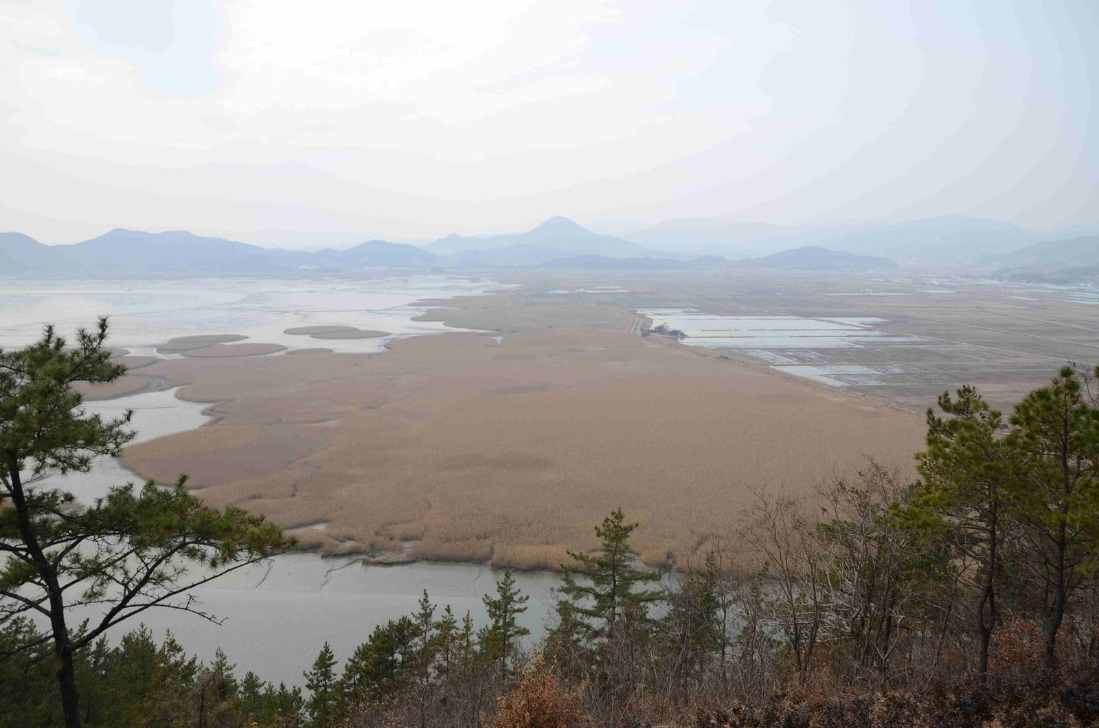겹겹이 이어진 물길과 갯벌