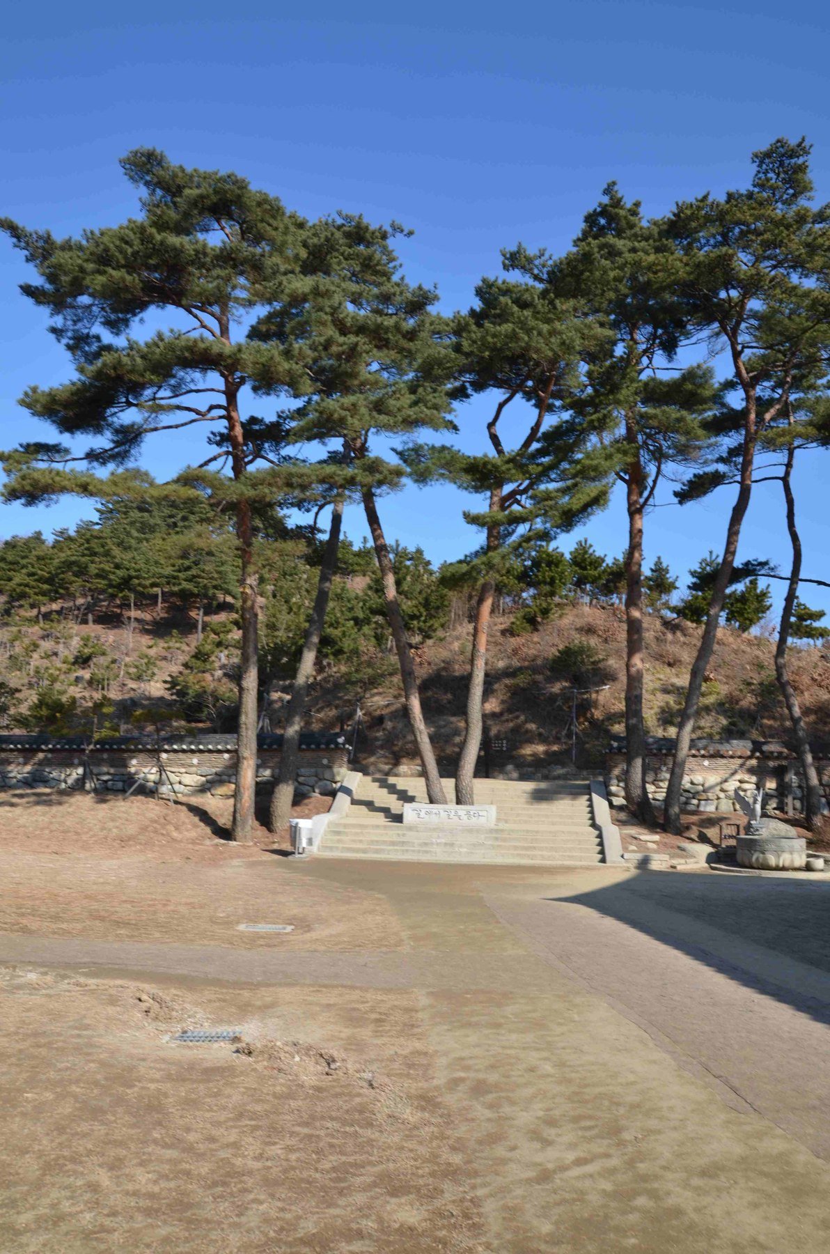 소나무 숲 사이로 보이는 절 지붕