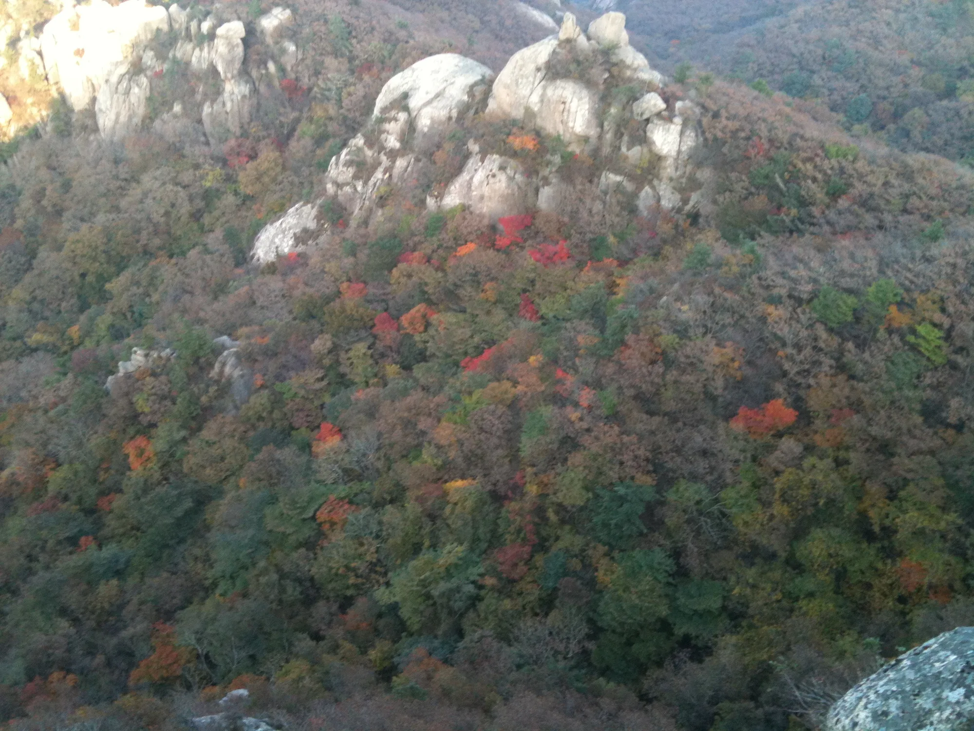 속리산 문장대, 혼자 걸은 능선 사진 13