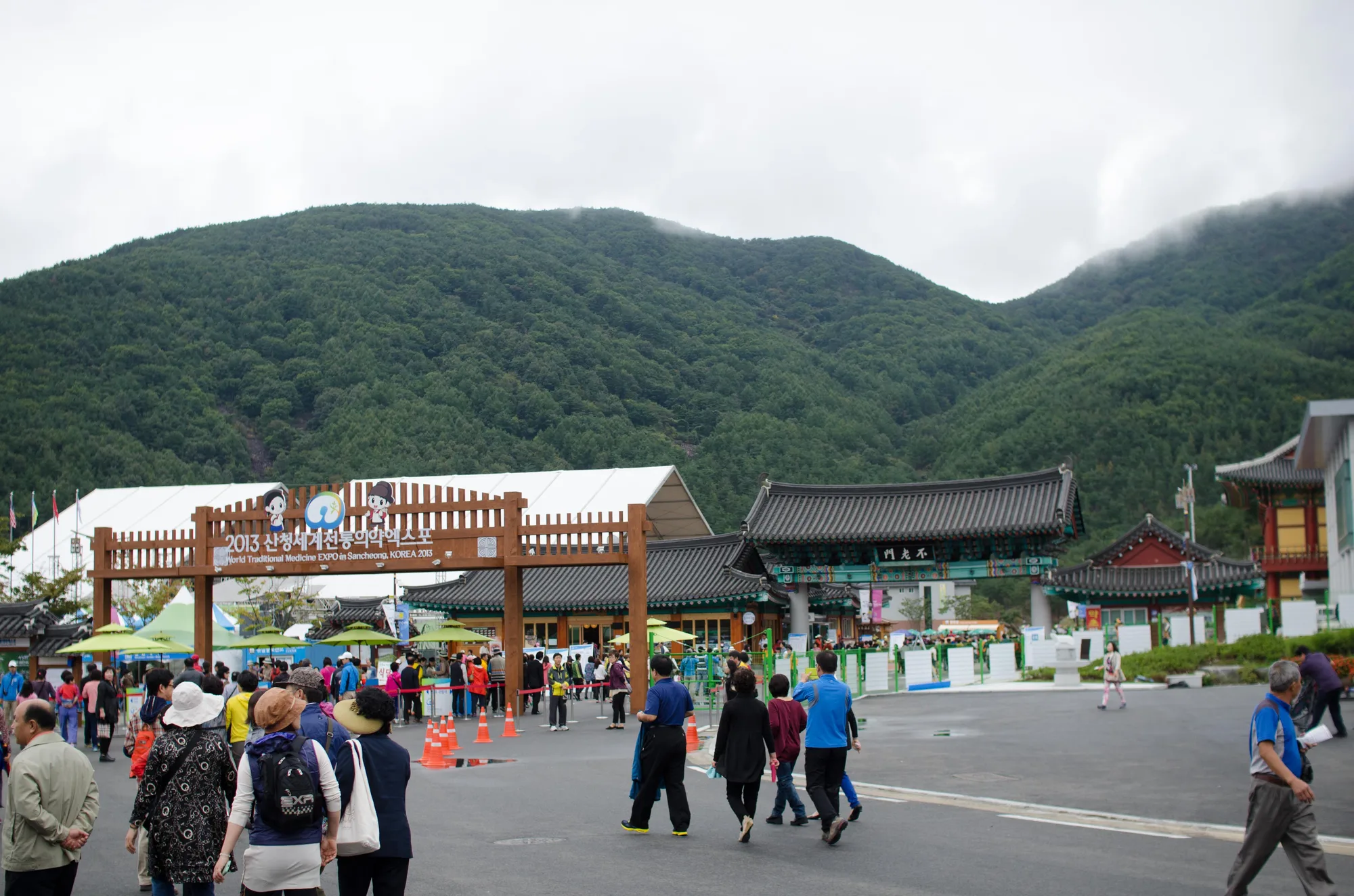 산청엑스포 한방 게이트, 기와 지붕 너머로 산자락이 이어진다