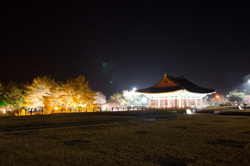 잔디밭 너머로 보이는 조명 켜진 전각