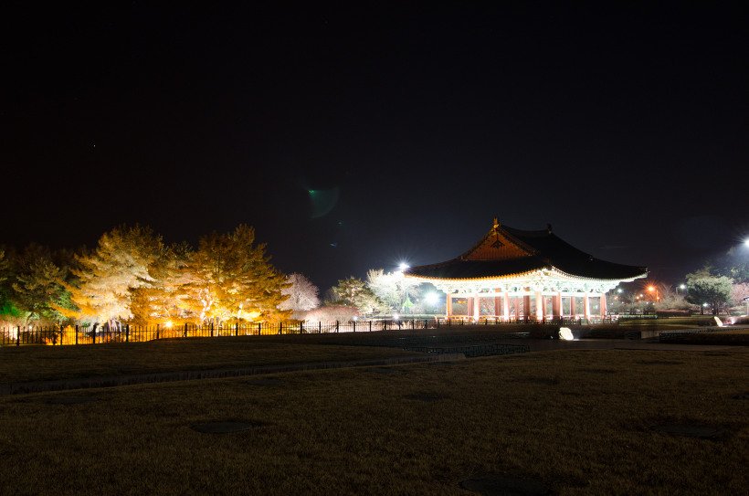 잔디밭 너머로 보이는 조명 켜진 전각