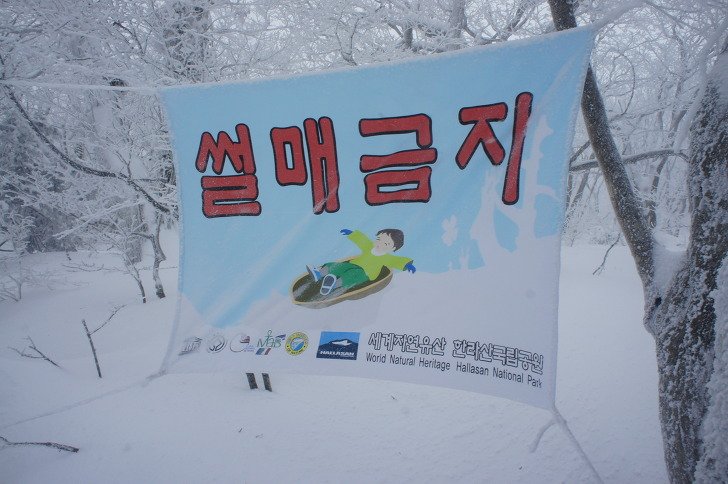 눈밭에 걸린 썰매금지 현수막과 눈 덮인 나무