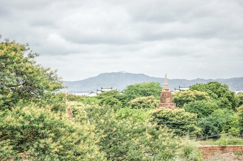 나무 숲 너머로 보이는 산과 탑