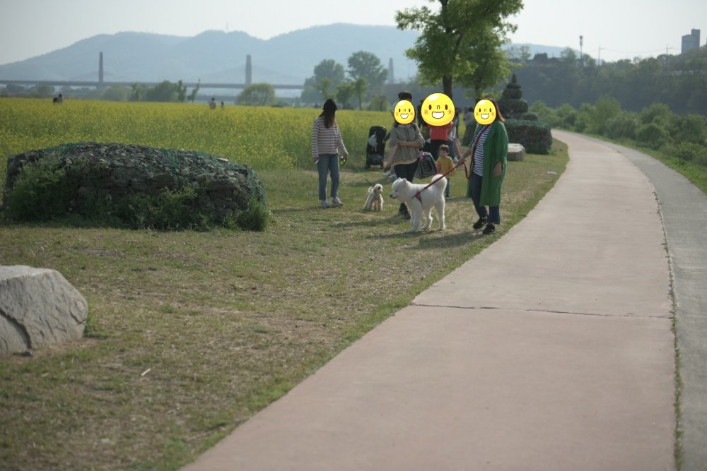 꽃밭 옆 산책로 왼쪽 잔디에 선 어른들과 흰 개, 어른들의 얼굴은 웃는 얼굴 스티커로 가림