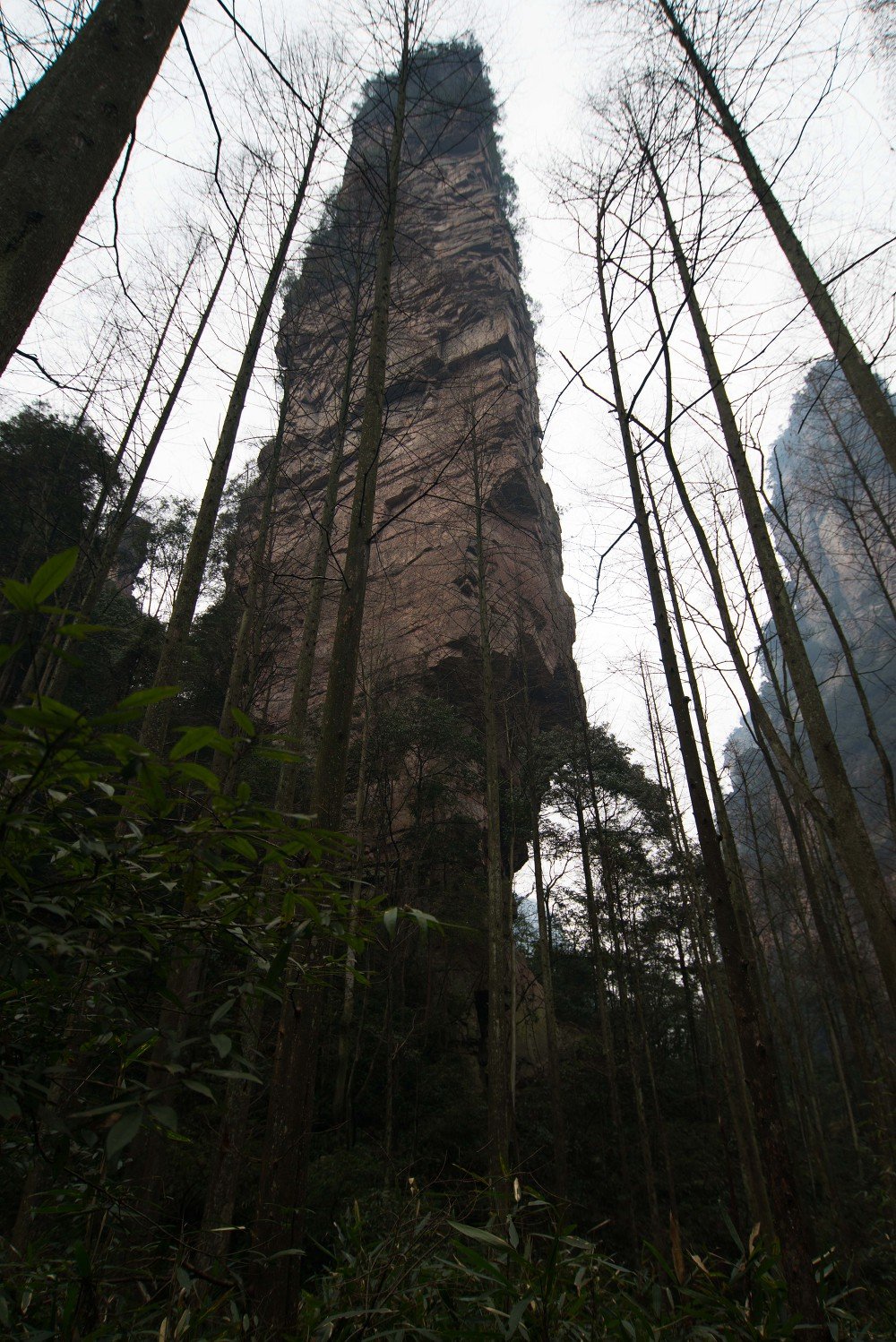 세로로 담은 높은 사암 기둥
