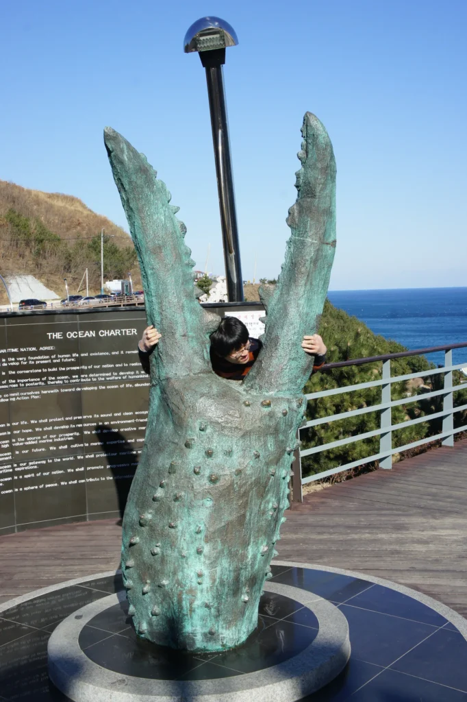 영덕 대게 조형물 사이로 얼굴을 내민 모습