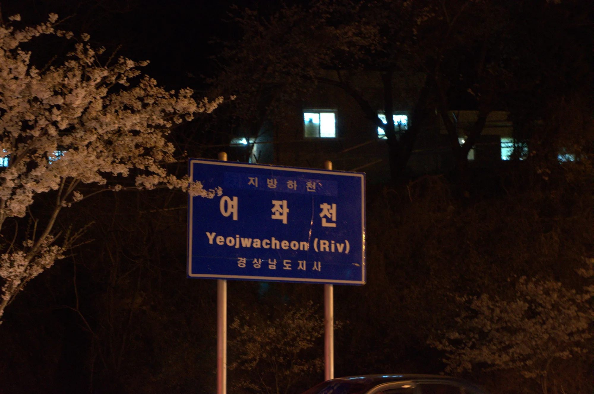 여좌천 표지판과 그 위로 넘어온 벚나무 가지