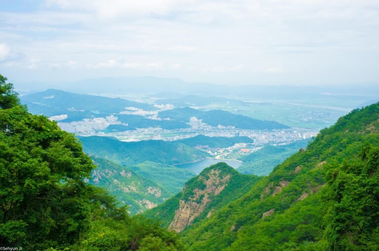 금오산 여름 능선, 혼자 걷다 사진 1