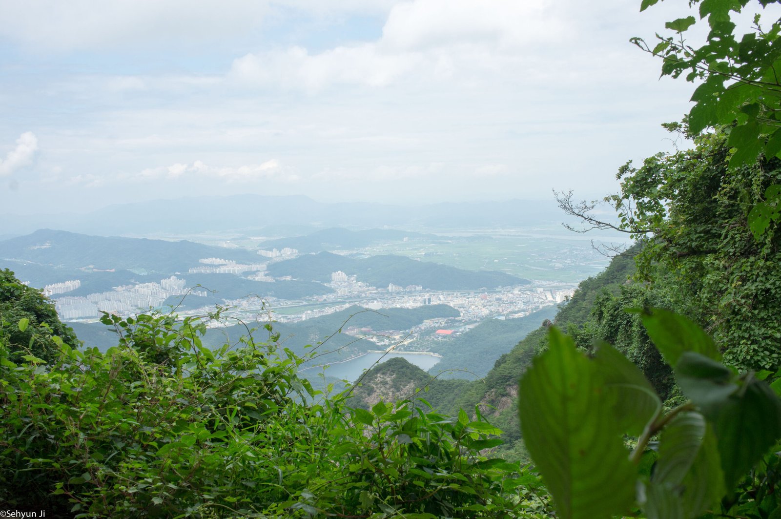금오산 여름 능선, 혼자 걷다 사진 4
