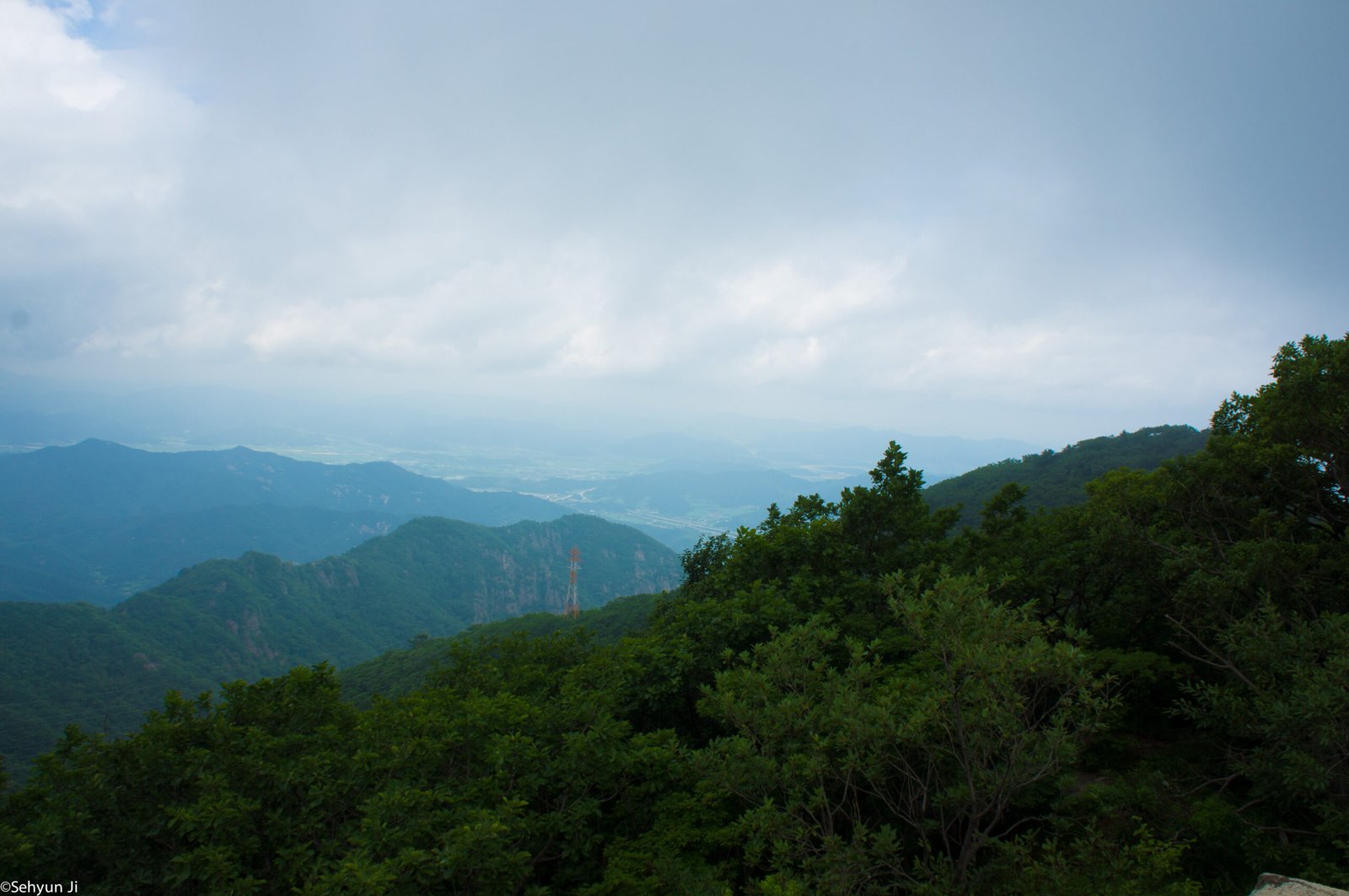 금오산 여름 능선, 혼자 걷다 사진 10