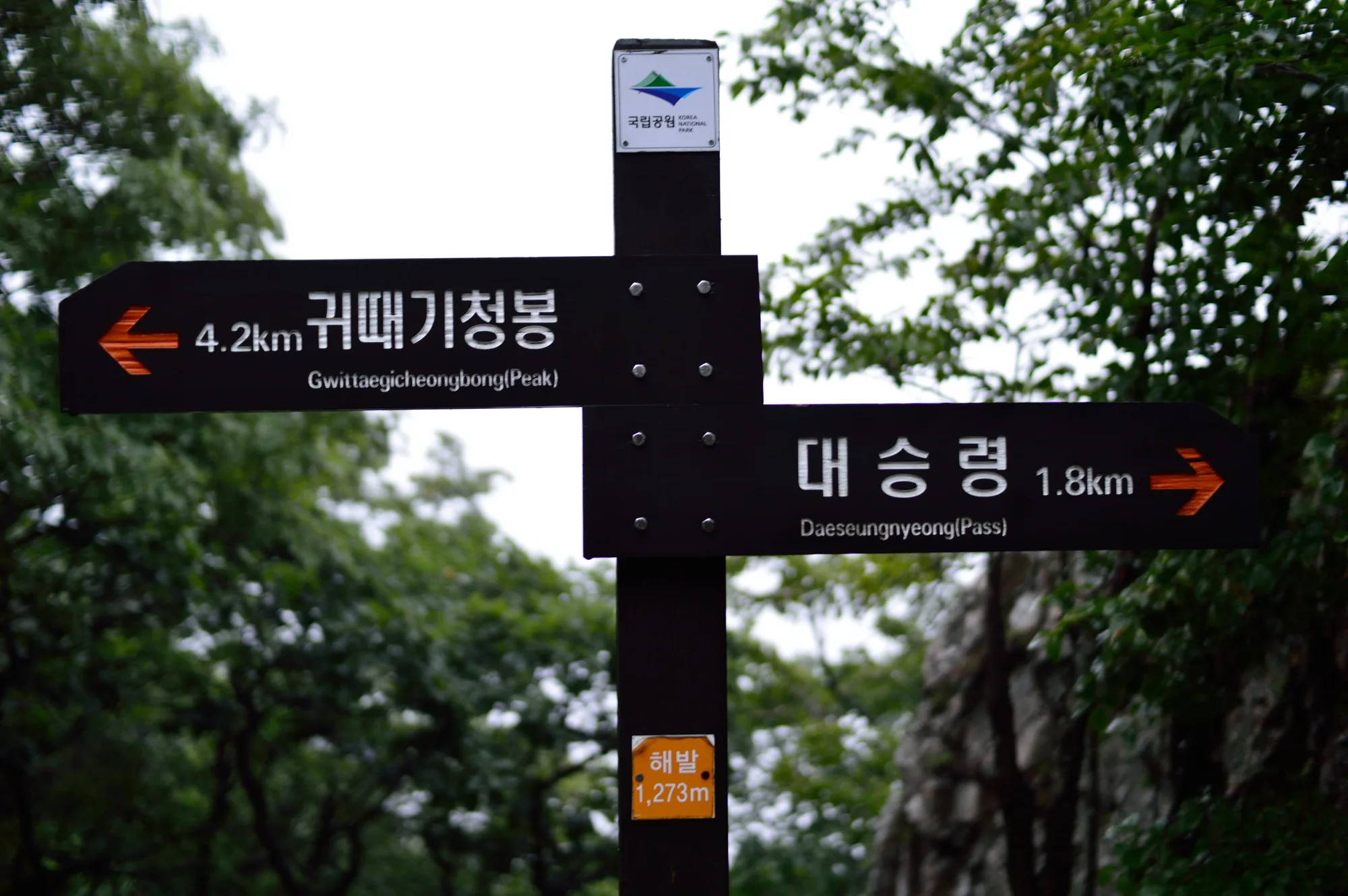 장마 끝자락, 대승령에서 귀떼기청봉까지 사진 3