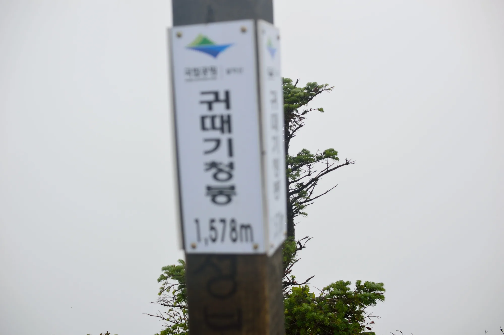 장마 끝자락, 대승령에서 귀떼기청봉까지 사진 20