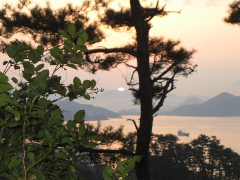 나무 사이로 보이는 바다와 산 능선 위에 걸린 해, 물 위의 작은 배