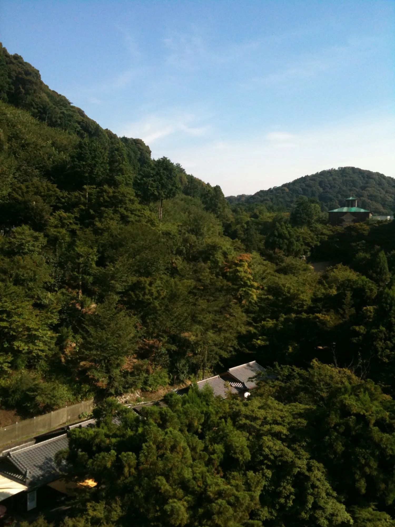 기요미즈데라 마루에서 본 초록 산자락