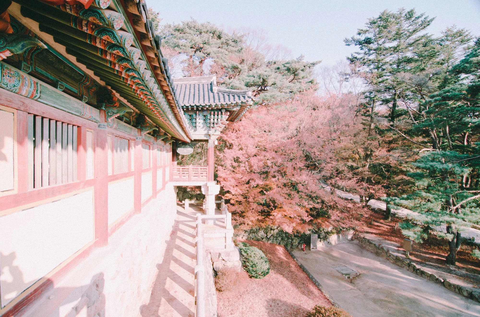 불국사 회랑과 단풍