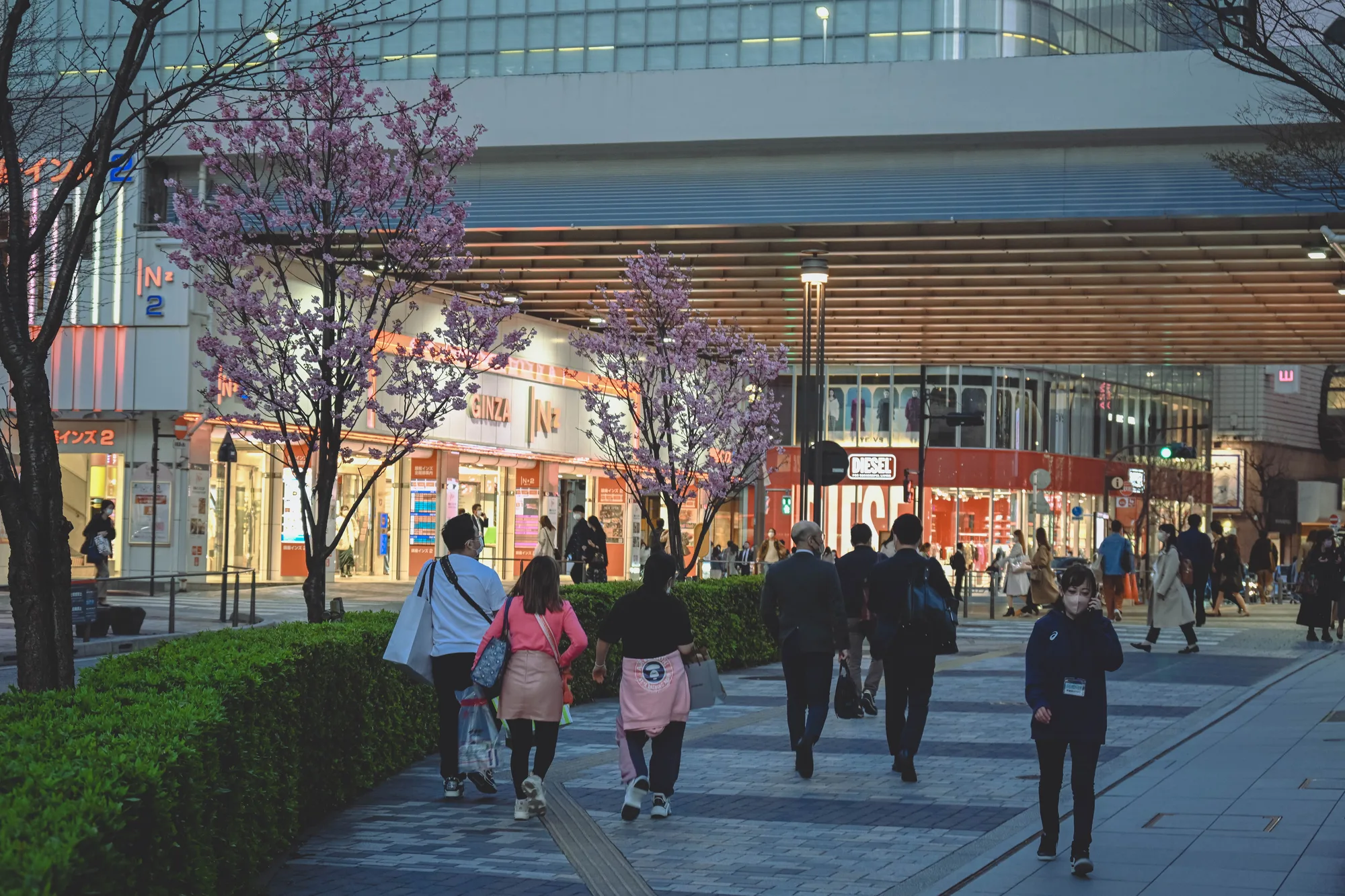 벚꽃이 핀 가로수길을 따라 쇼핑백을 든 사람들이 걷고 있다