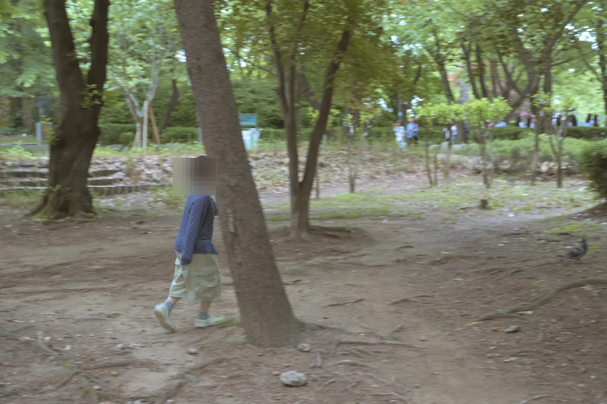 어린이대공원 산책로에서 나무 사이로 걸어가는 아이의 뒷모습