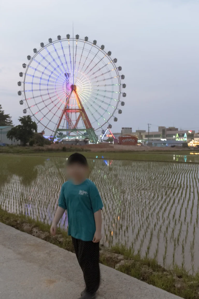 논둑길에 서서 대관람차 조명을 바라보는 아들