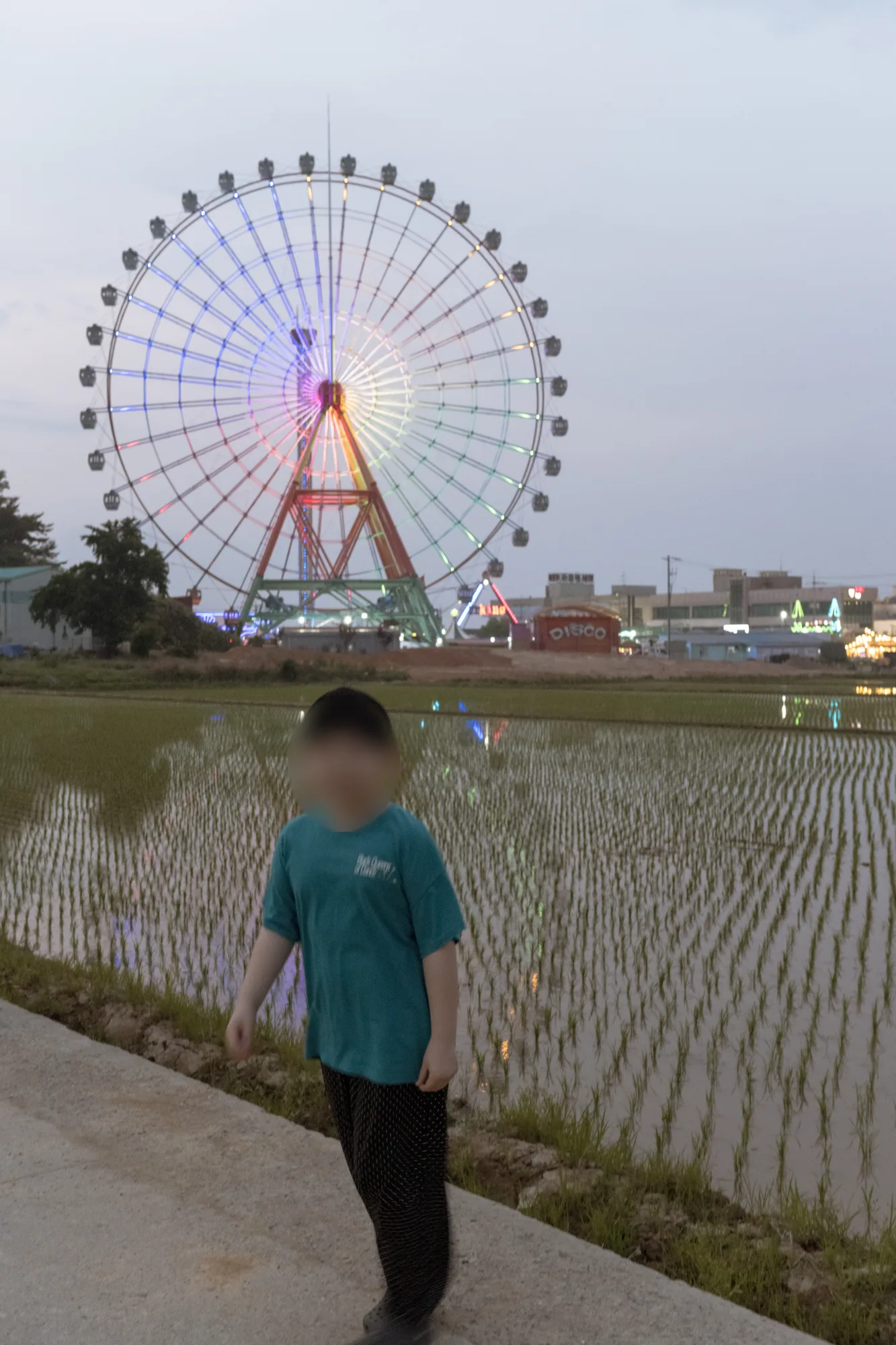 논둑길에 서서 대관람차 조명을 바라보는 아들