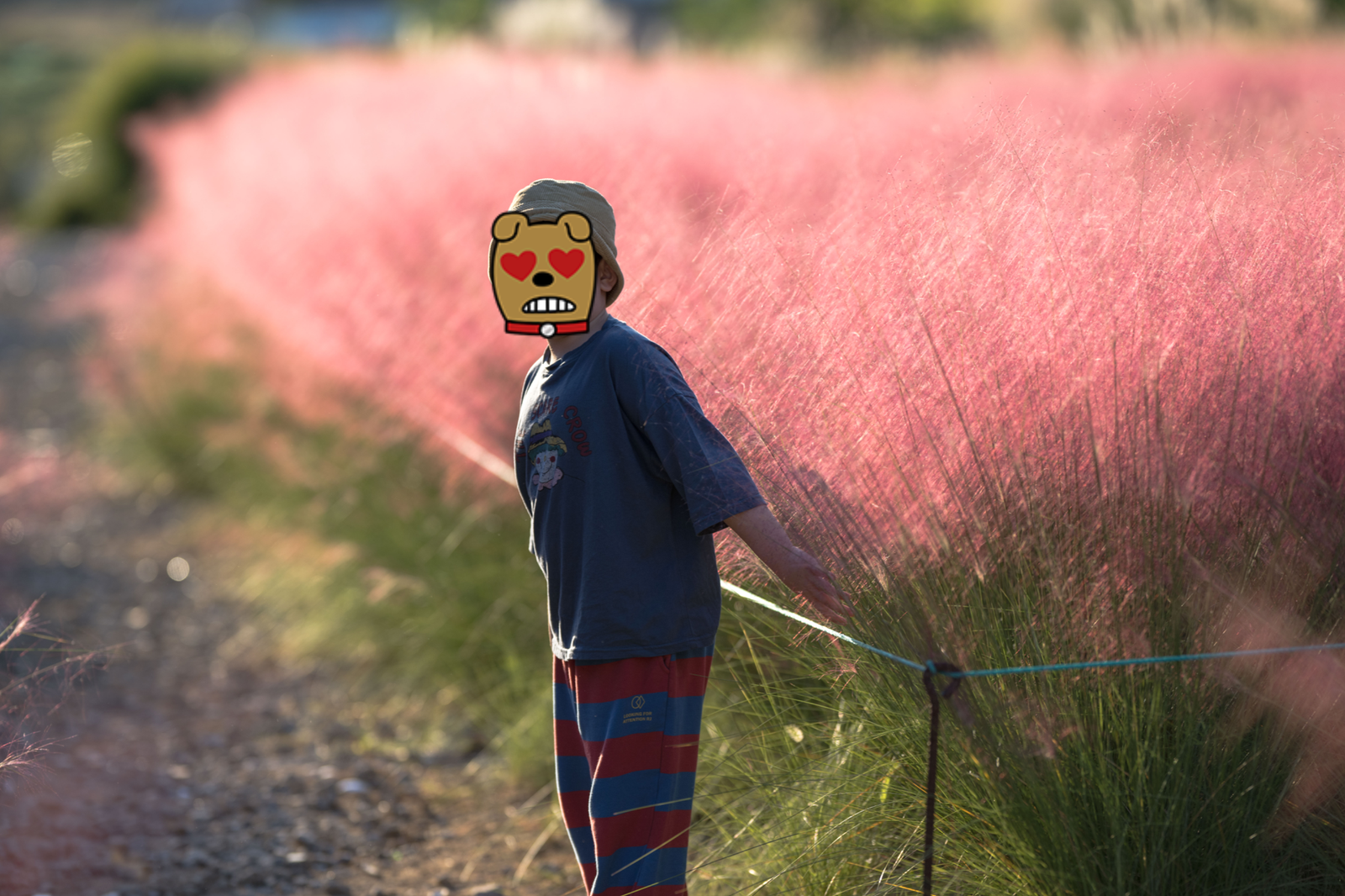 핑크뮬리 밭 가장자리 길에 선 사람, 베이지색 모자와 남색 티셔츠, 줄무늬 바지, 얼굴은 스티커로 가렸다