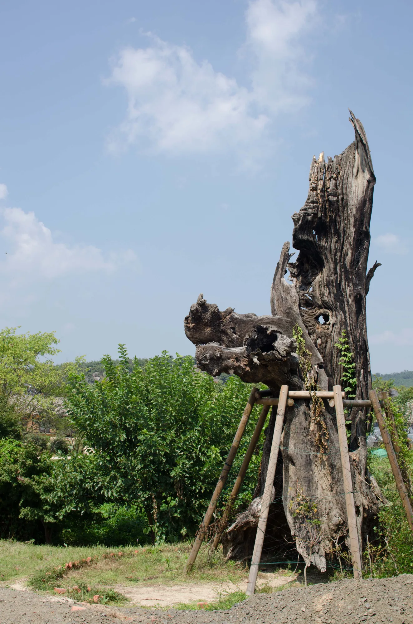 안동 하회마을, 돌담 골목과 만대루 사진 6