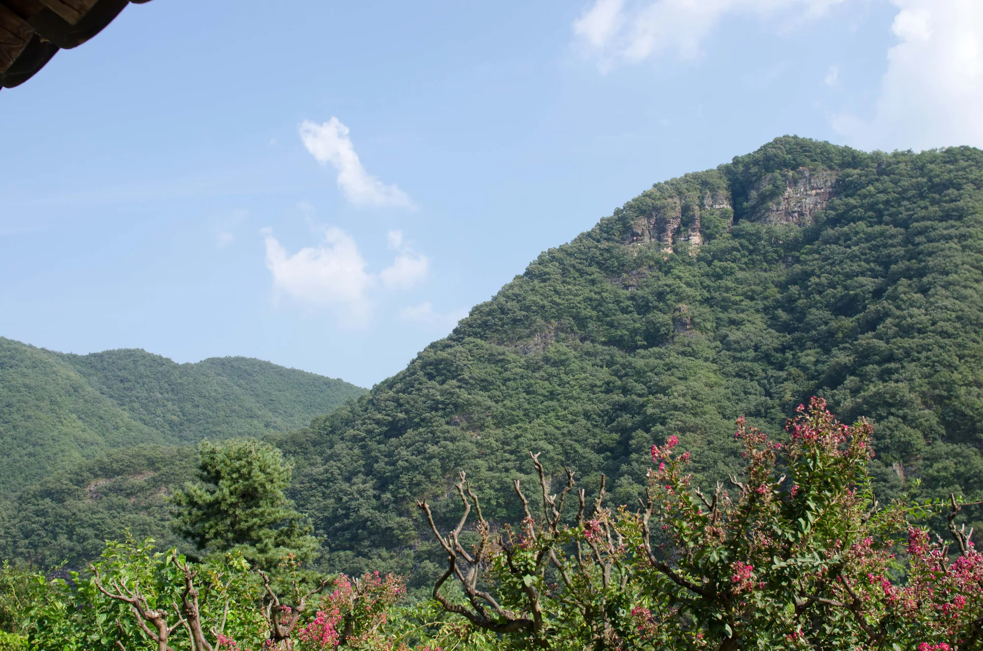 안동 하회마을, 돌담 골목과 만대루 사진 15