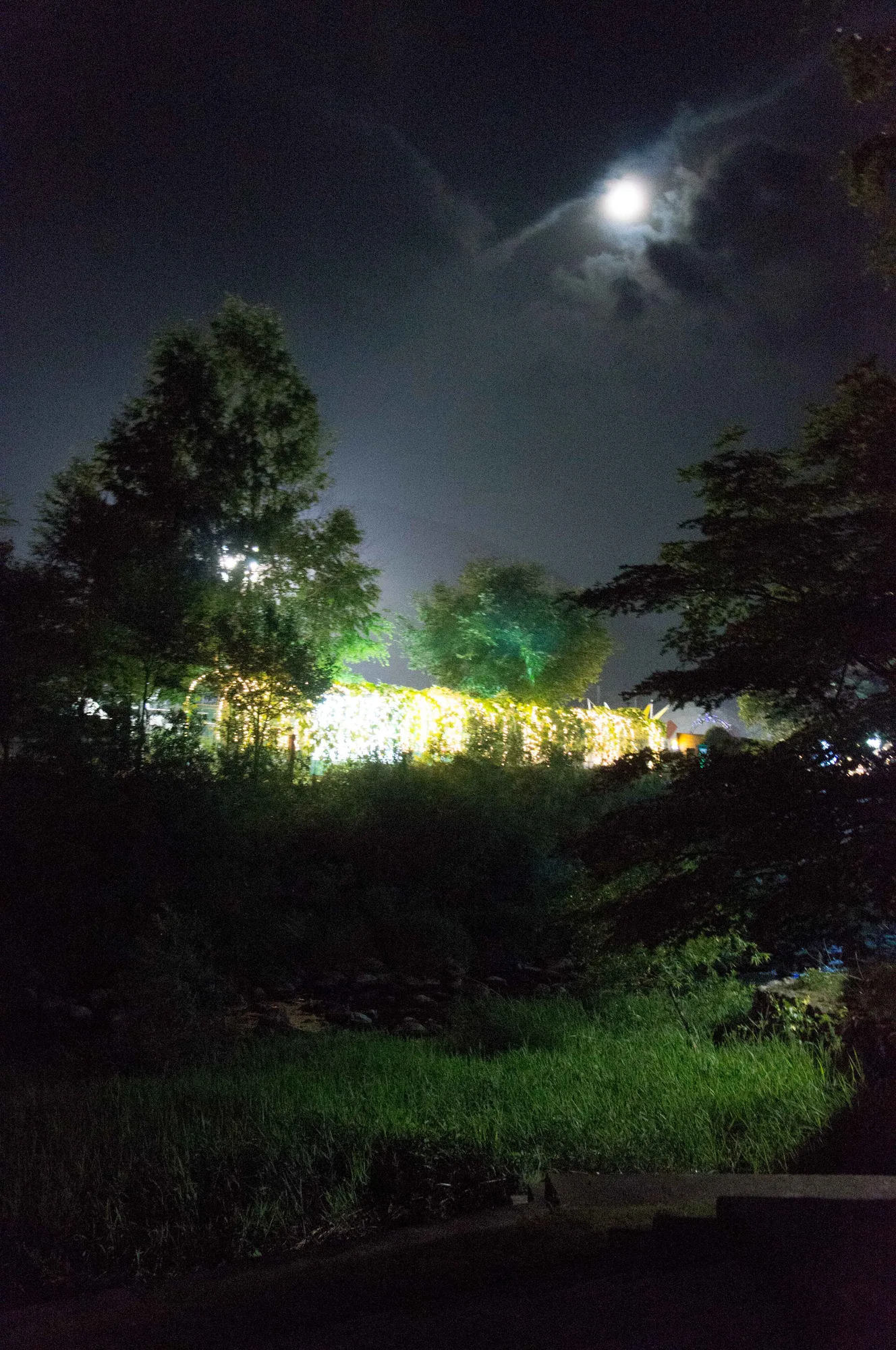 밤하늘의 보름달