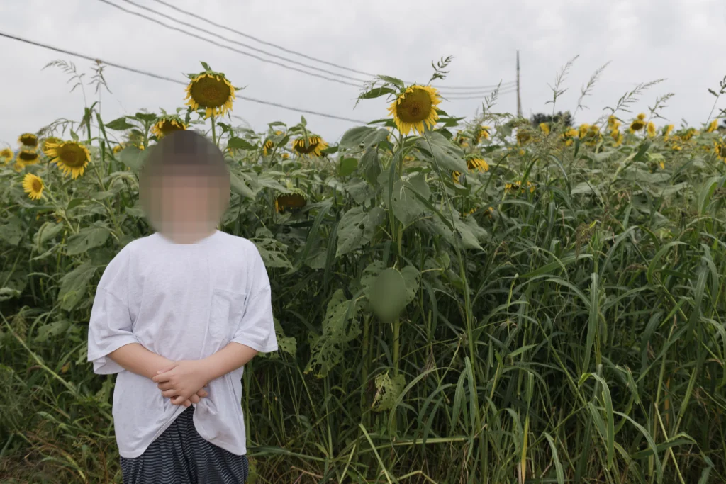 해바라기밭 앞에서 두 손을 모으고 선 아이, 가로로 넓게 담은 사진