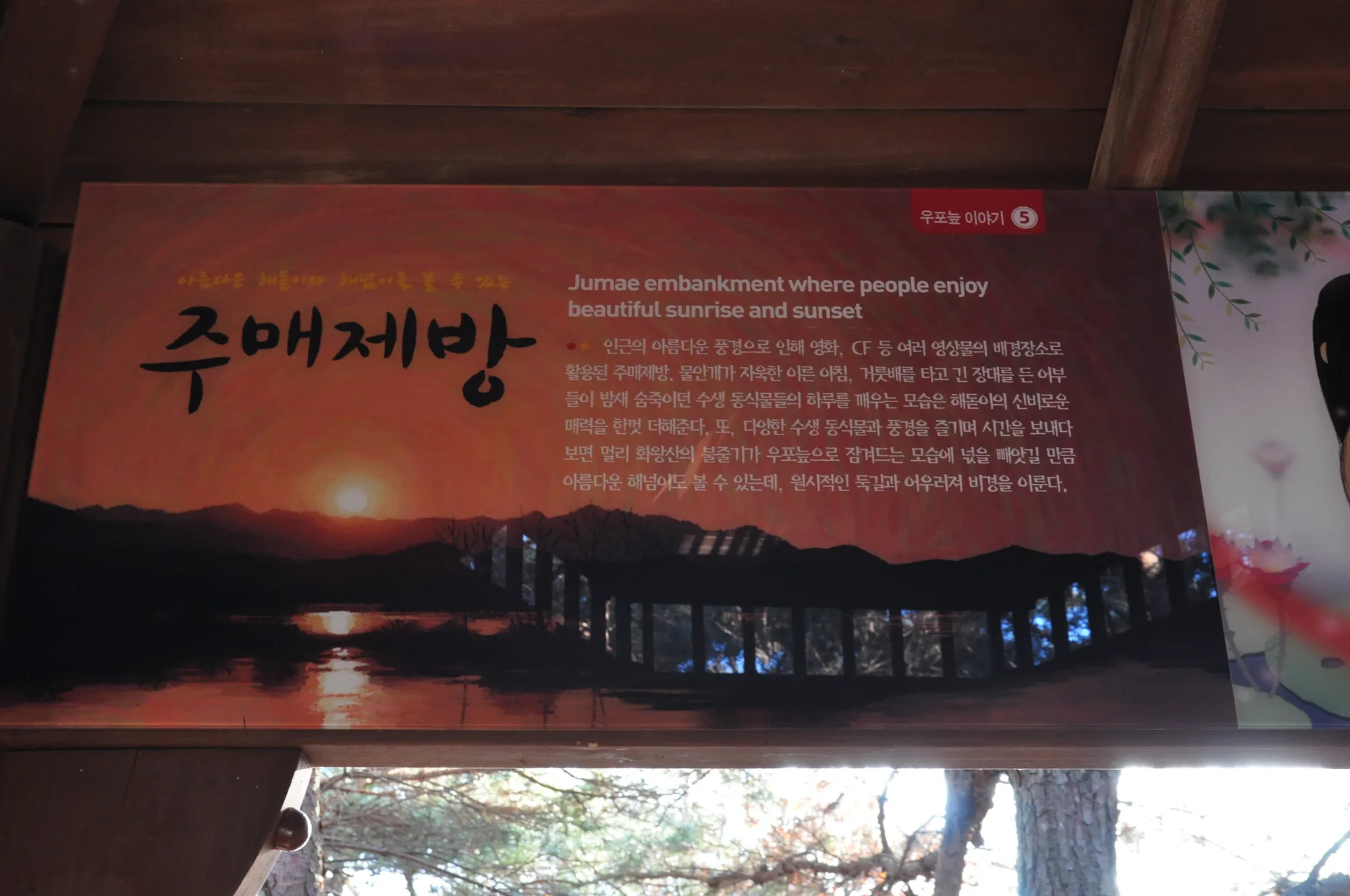 우포늪, 갈대와 얼음 사이를 걷다 사진 8