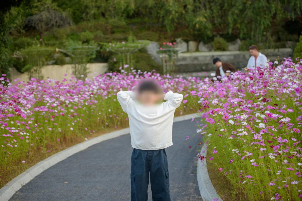 분홍 코스모스가 핀 길에서 두 손을 머리 뒤로 올린 아들