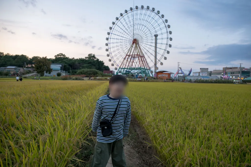 논 사이 길을 따라 걸어오며 고개를 돌린 아들과 뒤쪽 대관람차